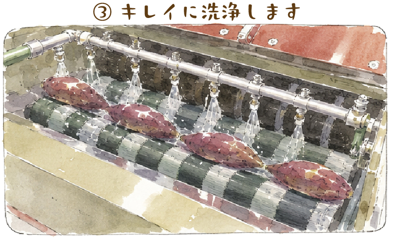 キレイに洗浄します