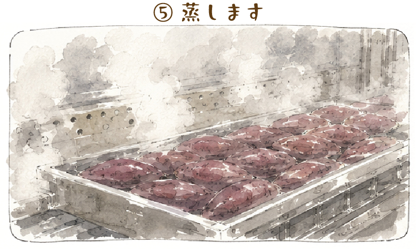 蒸します